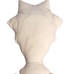 A short description about the image.